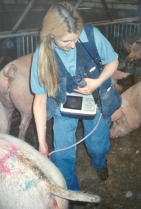 Pregled na brejost z ultrazvokom